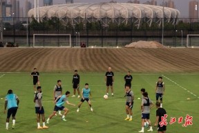 开云体育官网-关于武汉三镇训练开放日，国际比赛日单刀错失引欢呼，CBA季后赛在即，年轻球员得到机会的信息-开云体育官网